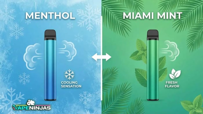 2mg vape disposable North 5000 5% Menthol 5%