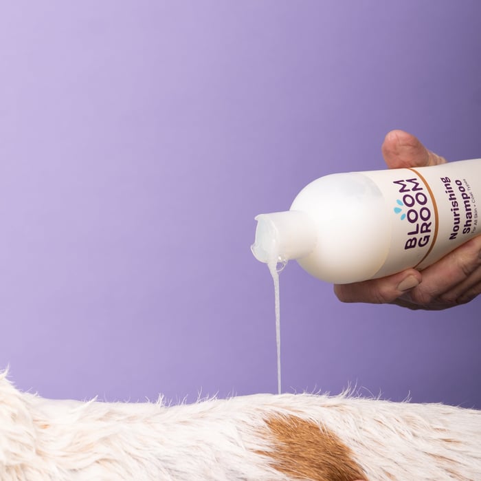 The Real Science Behind Gentle Dog Shampoo
