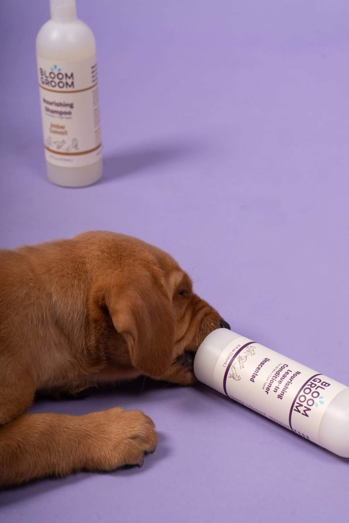 What “Clean Beauty For Dogs” Actually Means