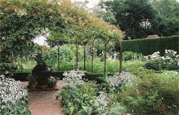 How to Use White in Your Flower Garden - Longfield Gardens