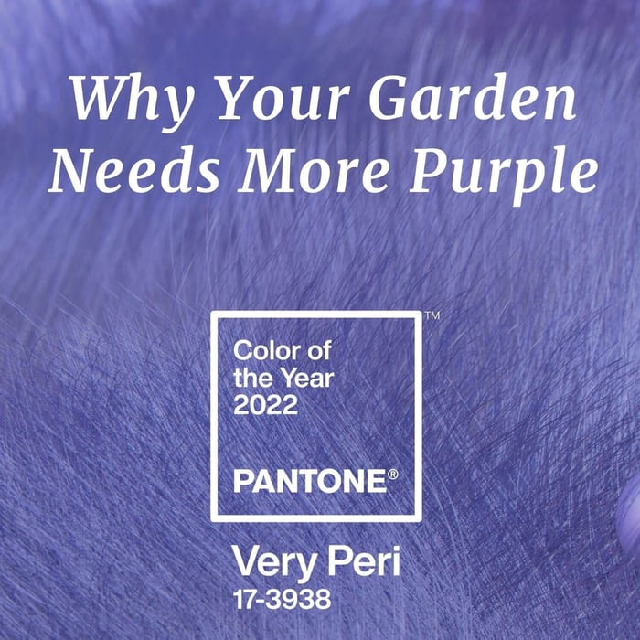 2022 color of the year very peri (1)