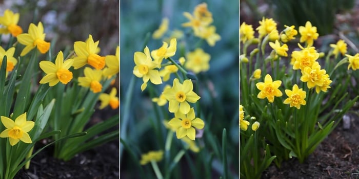 Blog Post 3 Image Grid