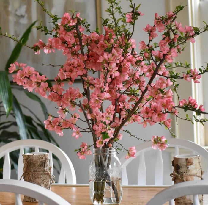 Force Branches for Winter Blooms - Longfield Gardens