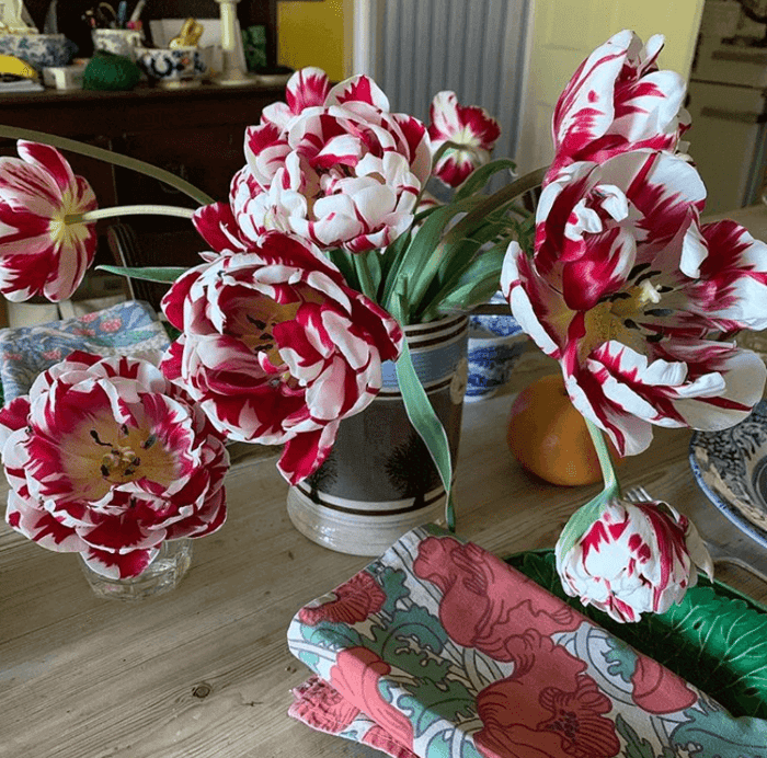 Carnival_de_Nice_Charlie_McCormick.png?v=1765891333