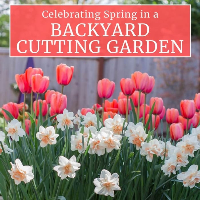 Celebrating-Spring-in-a-Backyard-Cutting-Garden-Longfield-Gardens