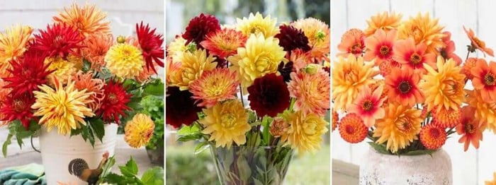 2020 Color Trends for Your Flower Garden - Longfield Gardens