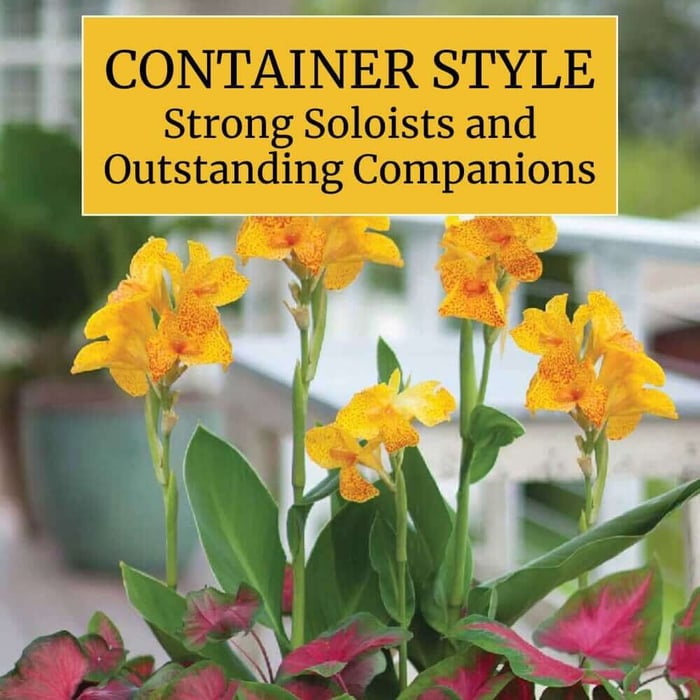 Container-Style-Header