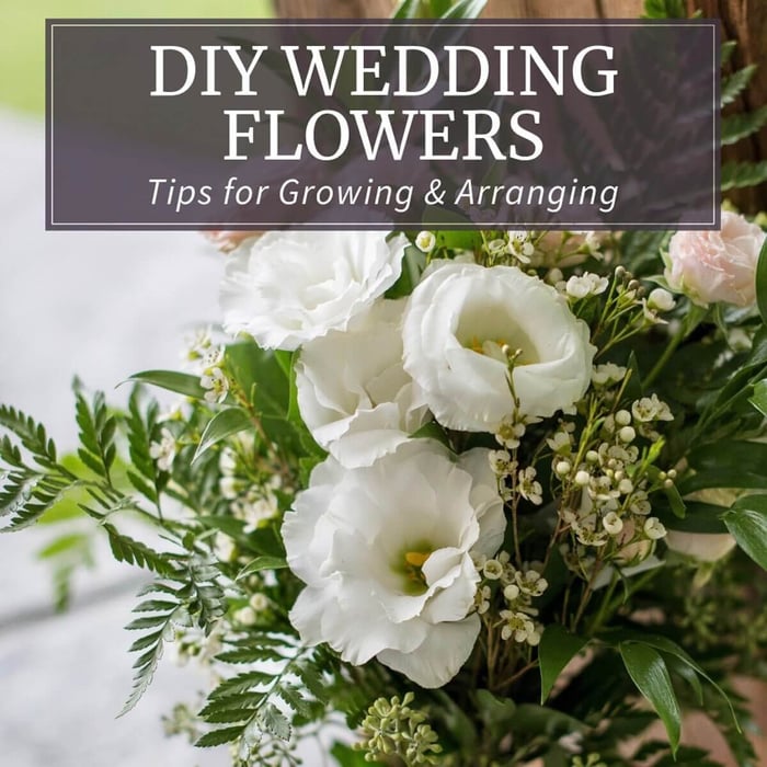 DIY-Wedding-Flowers-Longfield Gardens