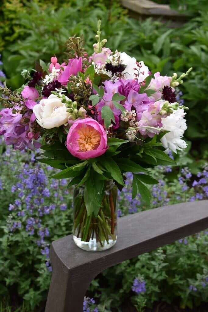 Tips for using peonies as cut flowers Longfield Gardens