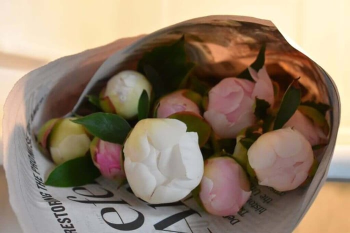 Tips for using peonies as cut flowers Longfield Gardens