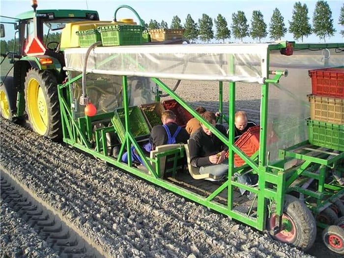 Dahlia planten met machine voorjaar10