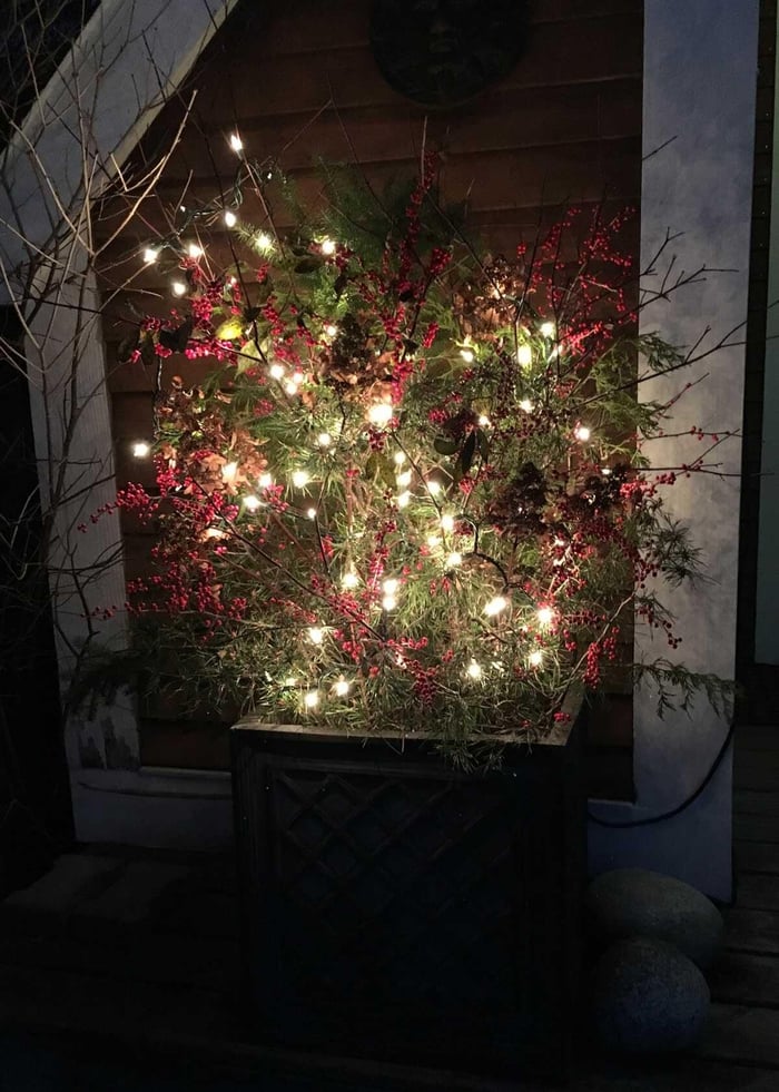 Making a Holiday Container to Decorate Your Entryway - Longfield Gardens