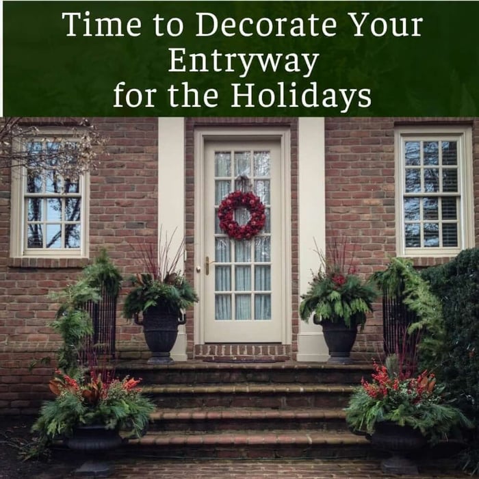 Making a Holiday Container to Decorate Your Entryway - Longfield Gardens