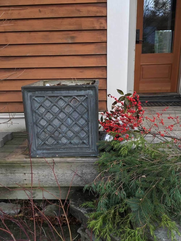 Making a Holiday Container to Decorate Your Entryway - Longfield Gardens