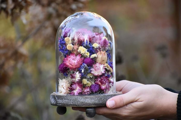 Essential Cut Flower Gardening Books - Longfield Gardens