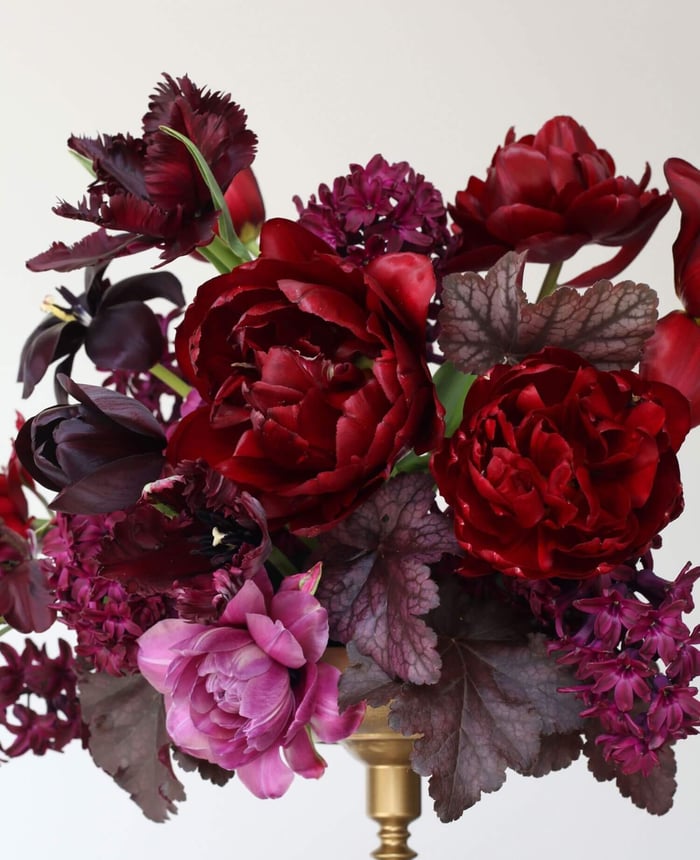 Spring-Blooming Bulb Collections from Flirty Fleurs - Longfield Gardens