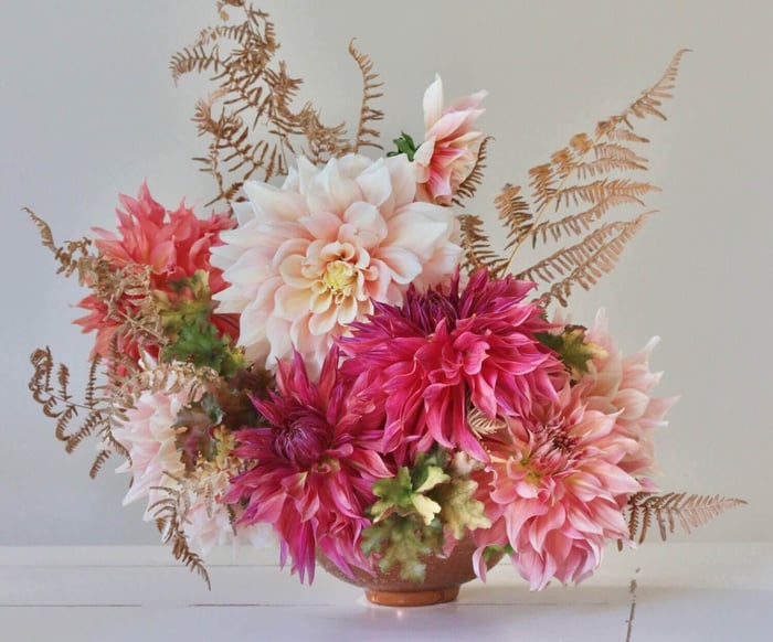 New Dahlia Collections from Flirty Fleurs - Longfield Gardens