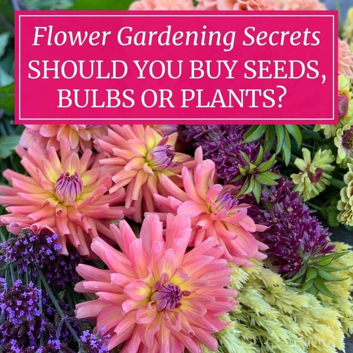 Flower Gardening Secrets