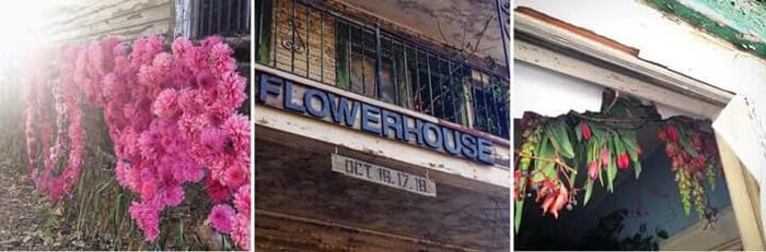 Flower-House-Exterior.jpg?v=1765892152