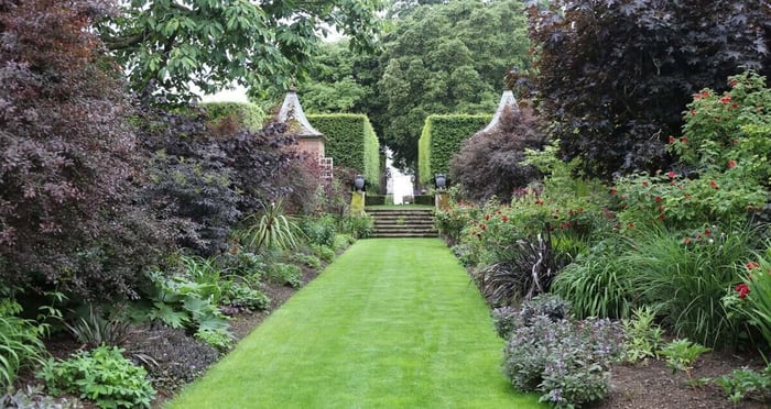 How to Use Red in Your Flower Garden - Longfield Gardens