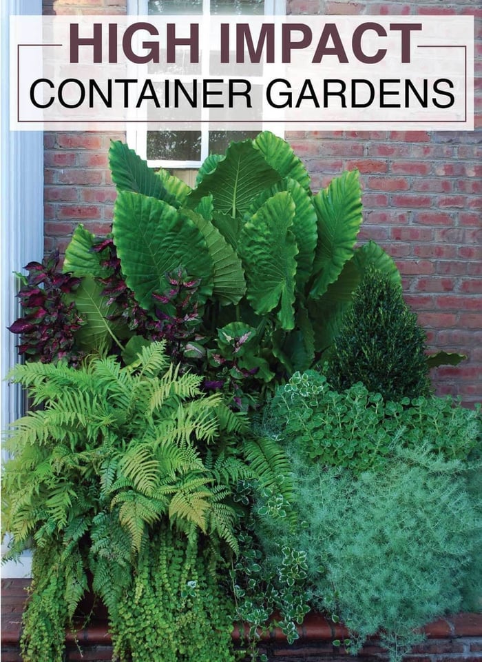 High-Impact-Container-Gardens-Longfield Gardens