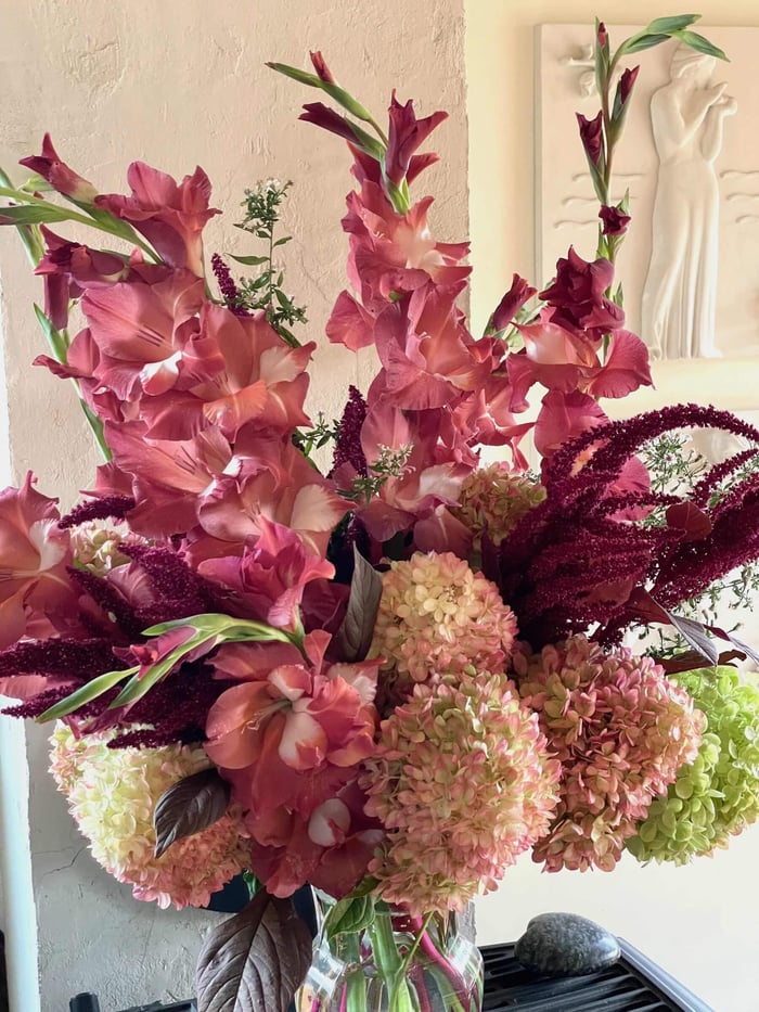 Tips for Growing and Using Gladiolus - Longfield Gardens