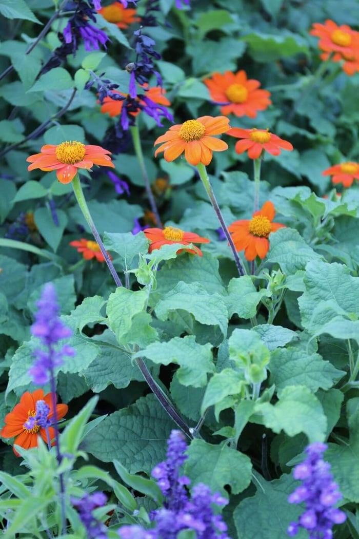 IMG_1428.jpg?v=1765891532