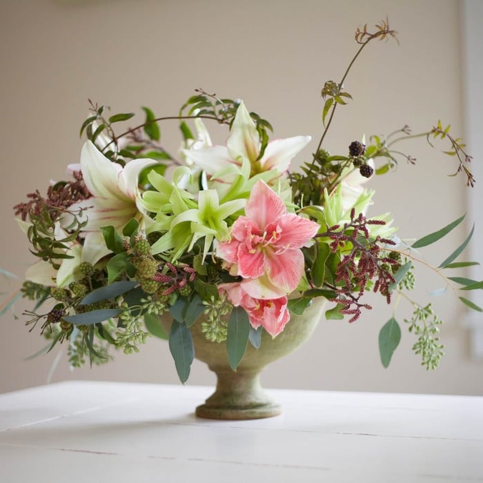 Decorating with Amaryllis and Paperwhites - Longfield Gardens