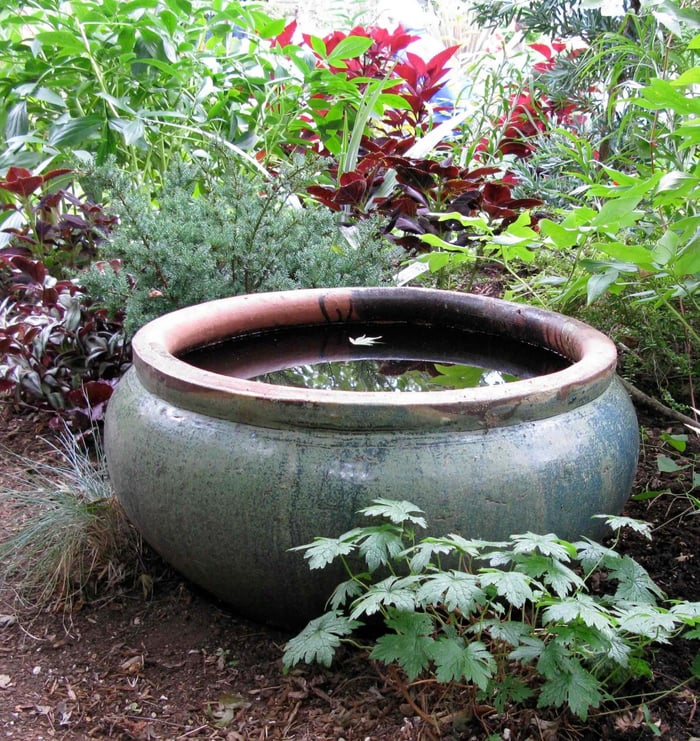 How to Make Your Shade Garden Shine - Longfield Gardens