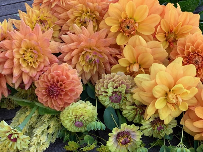 IMG_2174.jpg?v=1765891252