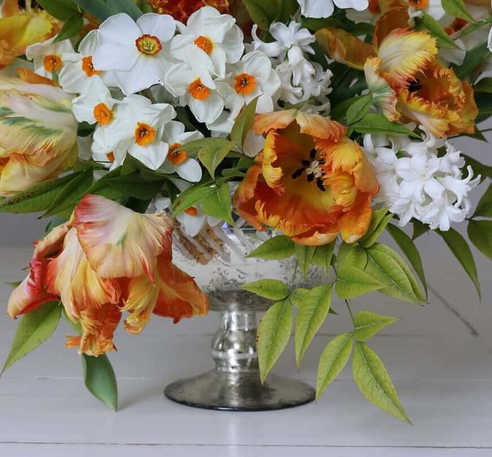 Behind the Scenes with Flirty Fleurs - Longfield Gardens