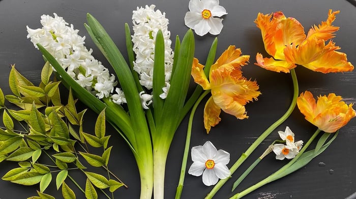 Behind the Scenes with Flirty Fleurs - Longfield Gardens