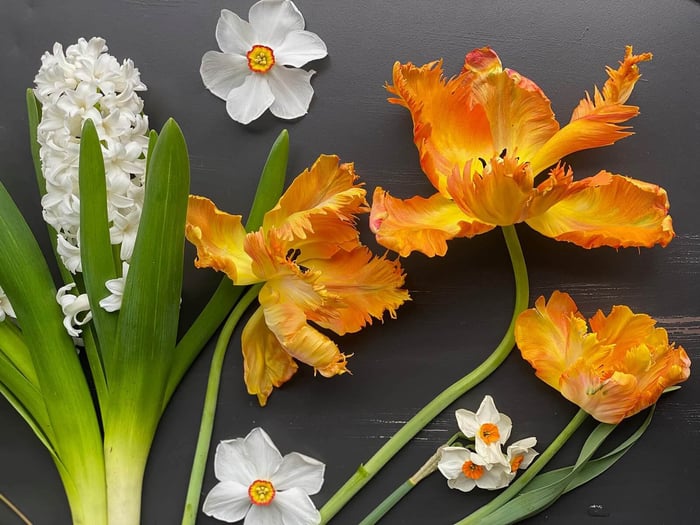 Behind the Scenes with Flirty Fleurs - Longfield Gardens
