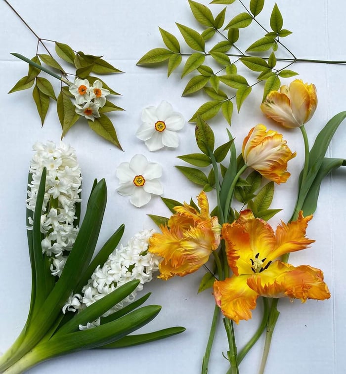 Behind the Scenes with Flirty Fleurs - Longfield Gardens