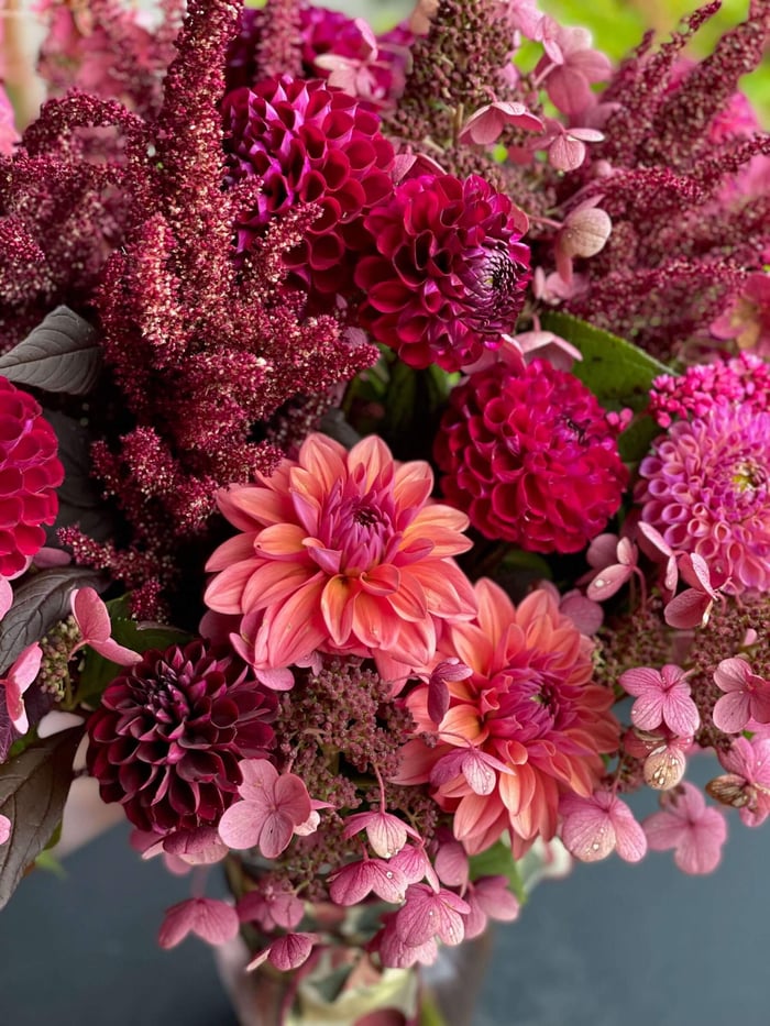 Color Trends in the Garden and Beyond - Longfield Gardens