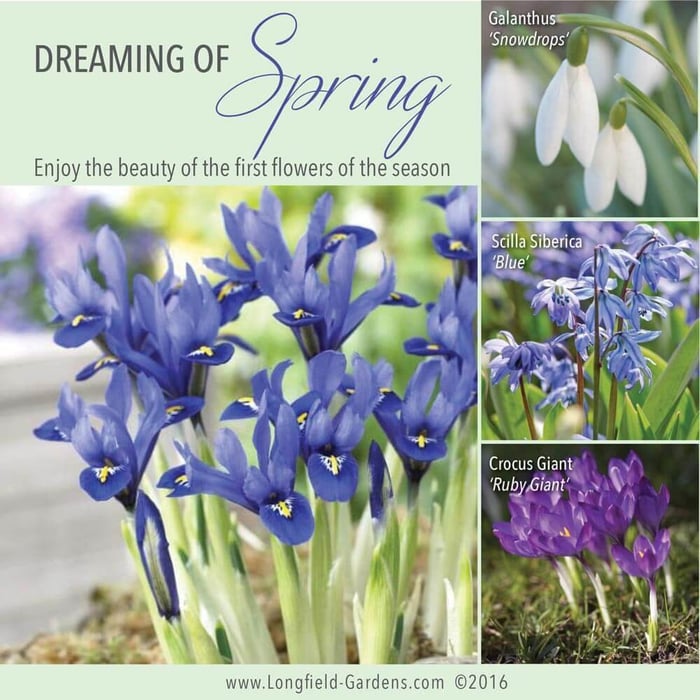 thumb_fosbrookLFGapril2015_0180_1024