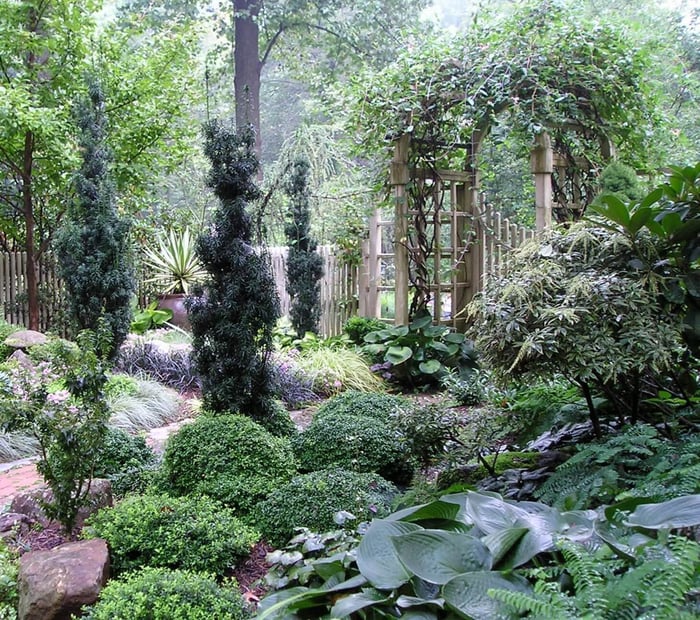 How to Make Your Shade Garden Shine - Longfield Gardens