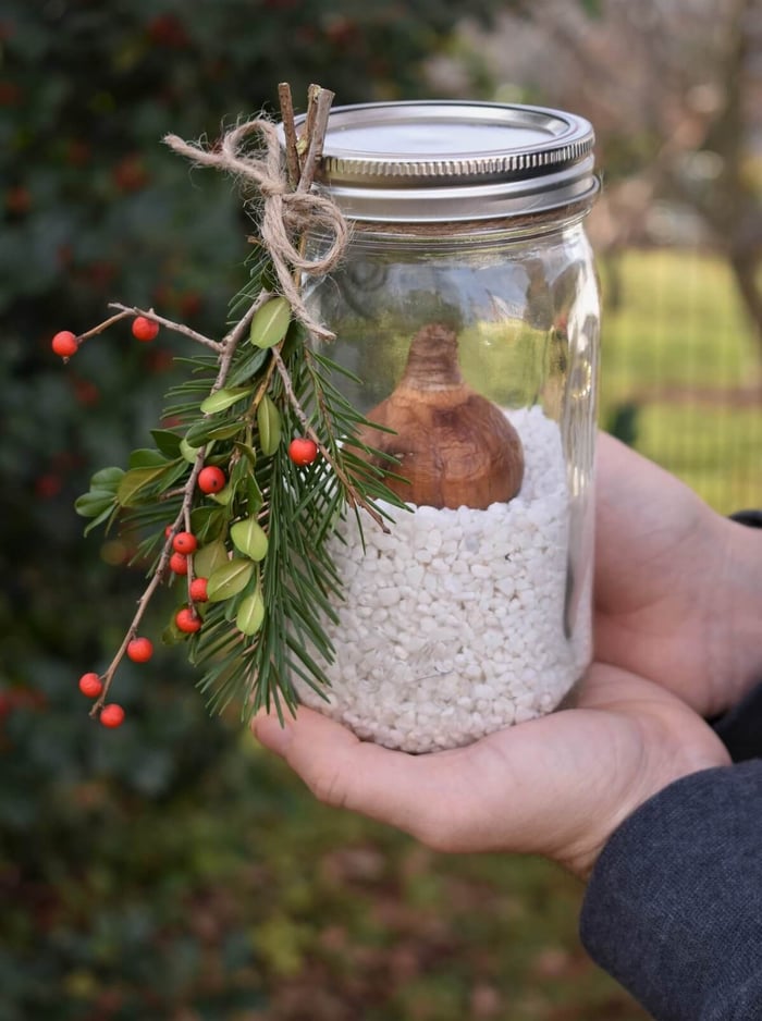 PaperwhiteMasonJar