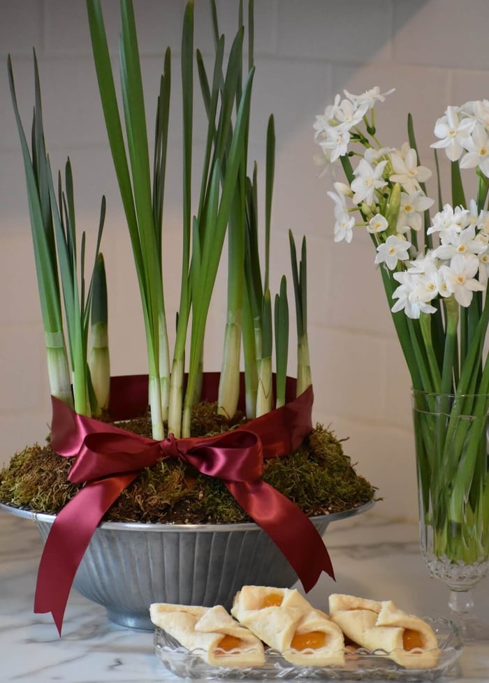 PaperwhiteReusableDishes