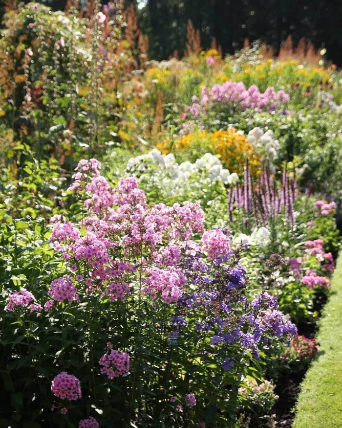 Summer-Perennial-Garden-Maintenance—Longfield-Gardens