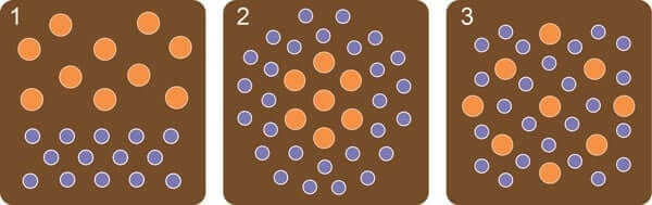 Planting-Diagrams
