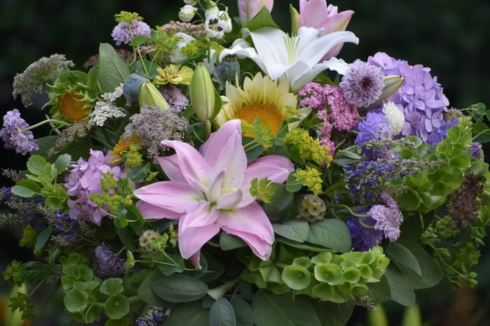 Tips for Using Lilies as Cut Flowers Longfield Gardens