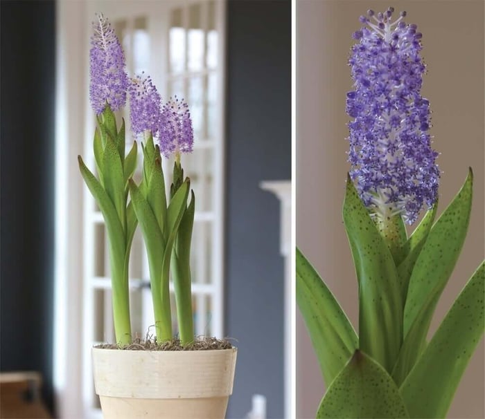 DIY-Ways-to-Gift
