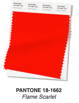 2020 Color Trends for Your Flower Garden - Longfield Gardens