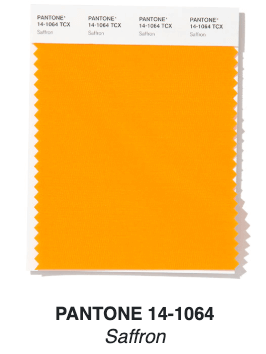 2020 Color Trends for Your Flower Garden - Longfield Gardens