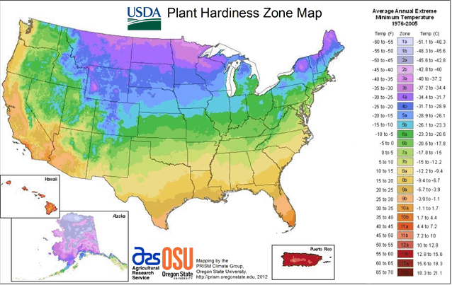 Understanding Cold Hardiness & Heat Tolerance - Longfield Gardens