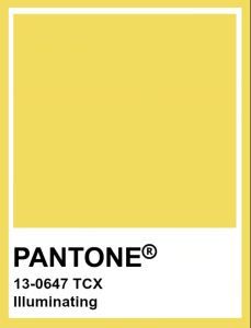 2021 Color Trends for Your Flower Garden - Longfield Gardens