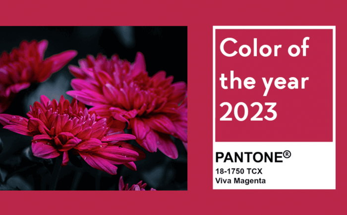 Color Trends in the Garden and Beyond - Longfield Gardens