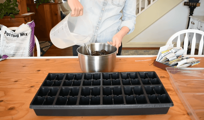 How to Start Flower Seeds Indoors - Longfield Gardens