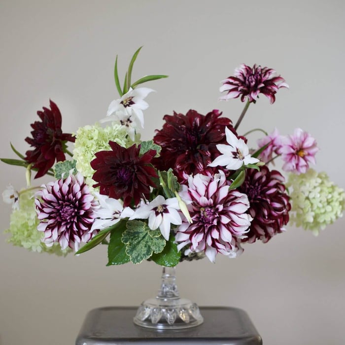 How a Floral Designer Chooses Flowers for Her Cutting Garden - Longfield Gardens